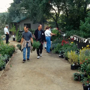 Fall Plant Sale Presale