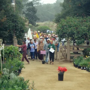 Fall Plant Sale