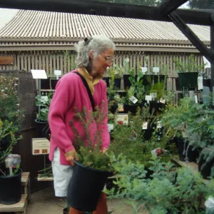 Fall Plant Sale