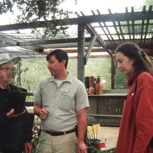 Fall Plant Sale