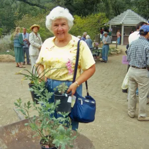 Fall Plant Sale