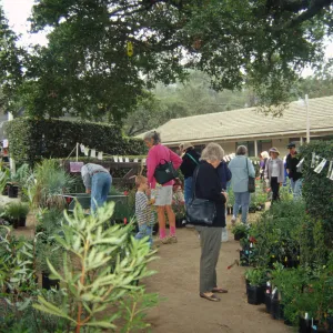 Fall Plant Sale