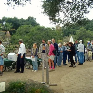 Fall Plant Sale