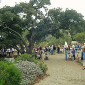 Fall Plant Sale