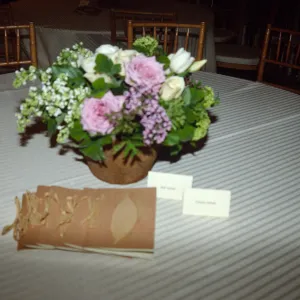 Development Dinner