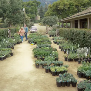 Plant Sale