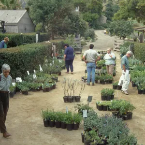 Plant Sale