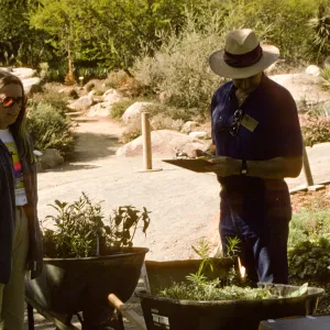Fall Plant Sale