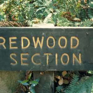 signage