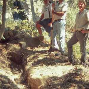 Digging a trench