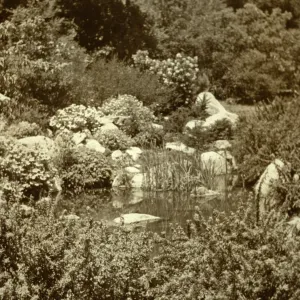 SBBG Pond