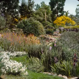 Santa Barbara Gardens of the Past - Coe Garden