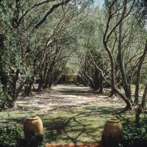 Santa Barbara Gardens of the Past - Lotusland