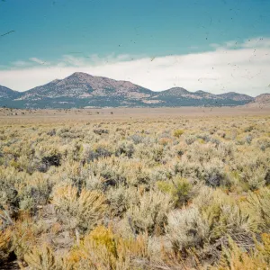 Sagebrush desert, Elko, Nevada