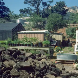Construction: storage sheds, potting shed & weather station during can yd redo