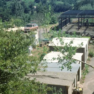 Nursery view from North gate