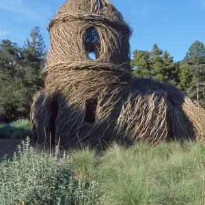 Toad Hall