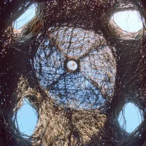 Toad Hall, interior, skylight