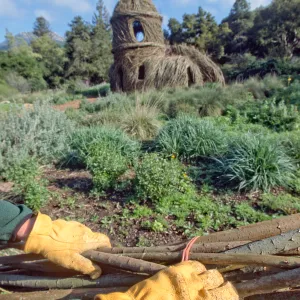 Toad Hall