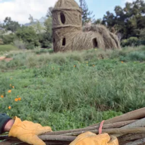 Toad Hall