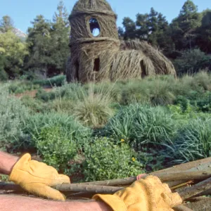 Toad Hall