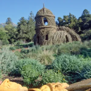 Toad Hall
