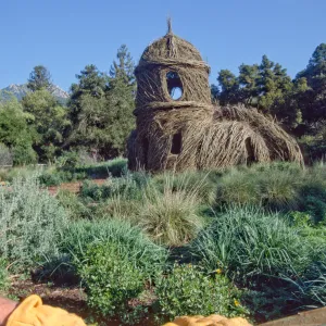 Toad Hall