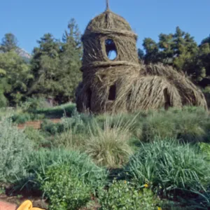 Toad Hall