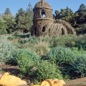 Toad Hall
