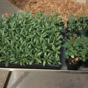 10A organic fert mix Bio Con 400 test