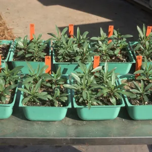Soil test Bio Con 400 test