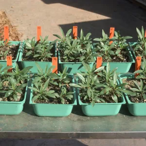 Soil test Bio Con 400 test