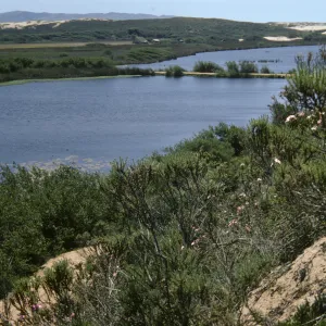 Oso Flaco Lake, vista