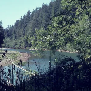 Gualala River