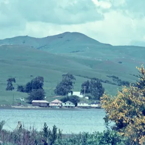 Tomales Bay
