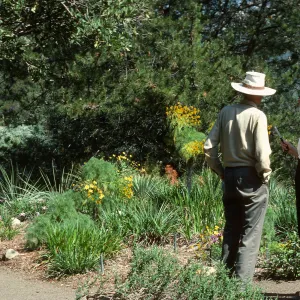 Dara Emery and Nancy Hawver recording "A Spring Walk", Porter Trail