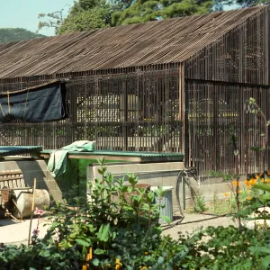 Hort Unit, lath houses, Dara Walk