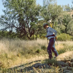 Dieter Wilken mapping rare plants with backpack GPS unit, Fort Hunter Liggett