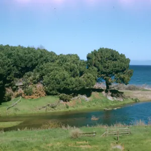 Santa Rosa Island?