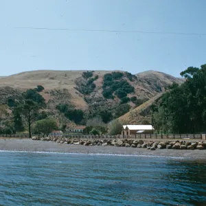 Santa Cruz Island Prisoners Harbor