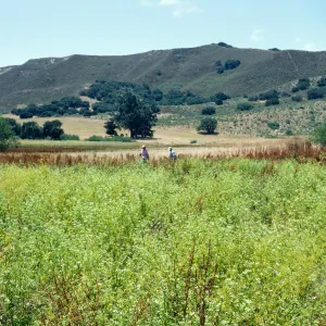 Los Alamos Price Ranch
