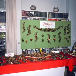 SBBG Guild Ladies, Nov. 18th sale