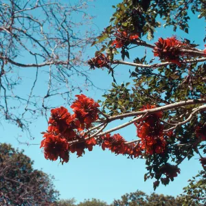 Goleta UCSB campus