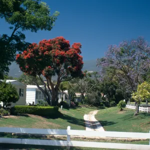 View Mobile Homepark Trees