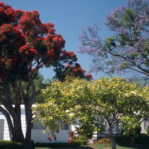 View Mobile Homepark Trees