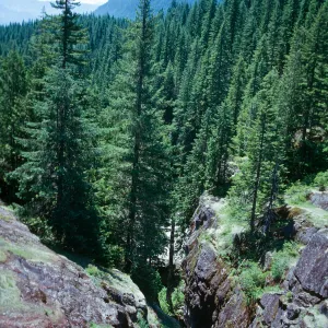 WA, Mt. Rainier National Park, box canyon