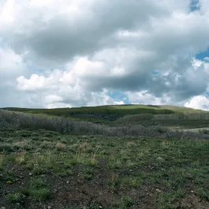 UT, Dixie National Forest, past Boulder, Aspen
