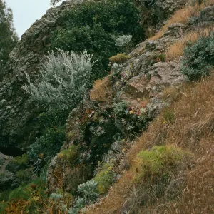 bluffs, Tinkers Canyon, Santa Cruz Island
