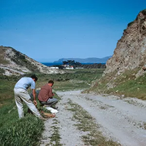 (Peter) Raven and (Robert) Ornduff, Canyon del Casa, Santa Rosa Island