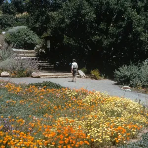 Clara Small Smith Steps (Duplicate slide)